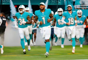 Anidjar & Levine: Proud Sponsors of the 2024 Miami Dolphins